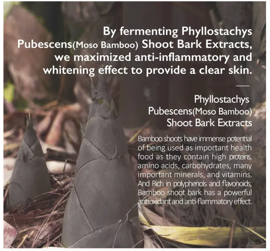 Screenshot 2026-01-04 at 10.21.50 AM.webp