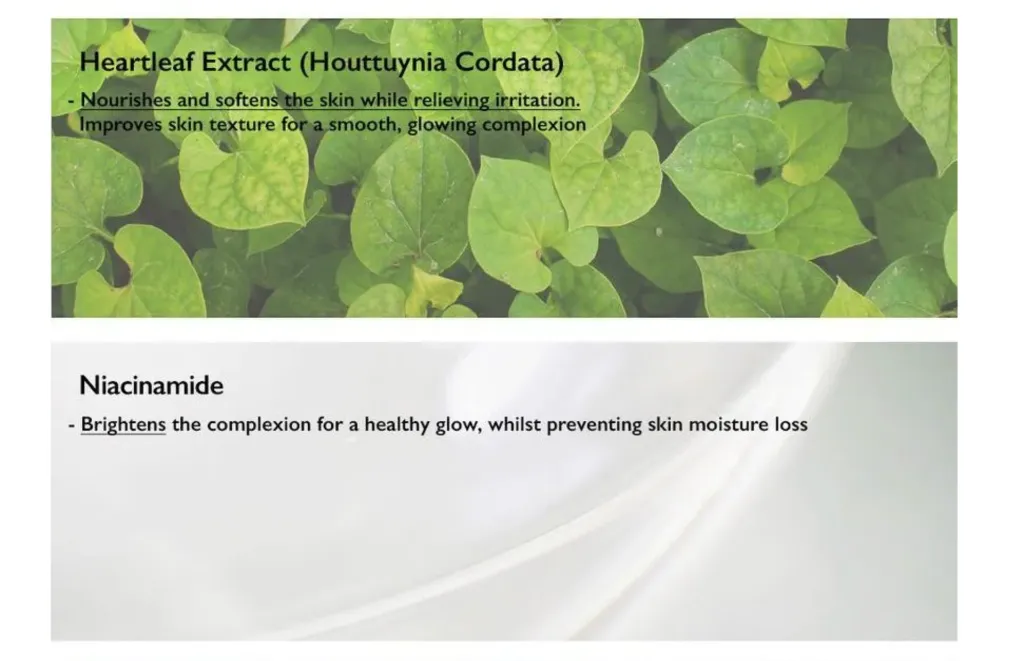 Screenshot 2026-01-04 at 10.34.55 AM.webp