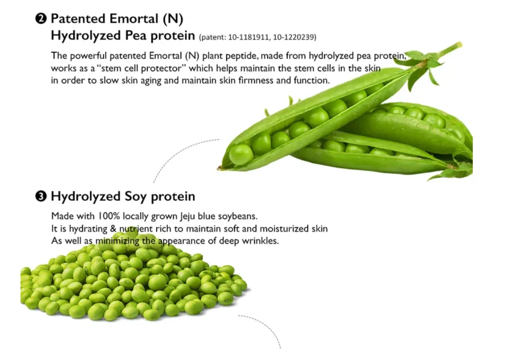 Screenshot 2026-01-04 at 10.39.58 AM.webp